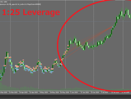 Sample Grid EA (25x Leverage) Trading History Plot Chart Screen