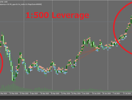 Sample Grid EA (500x Leverage) Trading History Plot Chart Screen