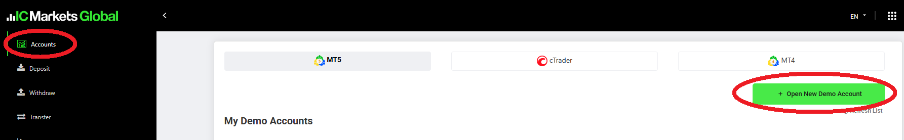 Broker Client Area Demo Account Opening Screen (IC Markets)