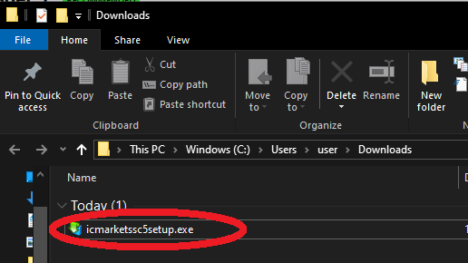 MT5 setup executable file saved in the Downloads folder